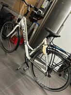 Damesfiets, Fietsen en Brommers, Versnellingen, Zo goed als nieuw, 50 tot 53 cm, Ophalen