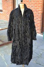 T52 astrakan jas, Kleding | Dames, Jassen | Winter, Ophalen