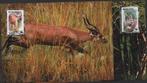 Animaux d' Afrique WWF , cartes postales, Ophalen of Verzenden, 1980 tot heden, Gelopen, Overige soorten