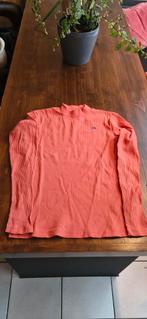 2x pulletjes hamptom bay maat 158, Kinderen en Baby's, Kinderkleding | Maat 158, Ophalen of Verzenden