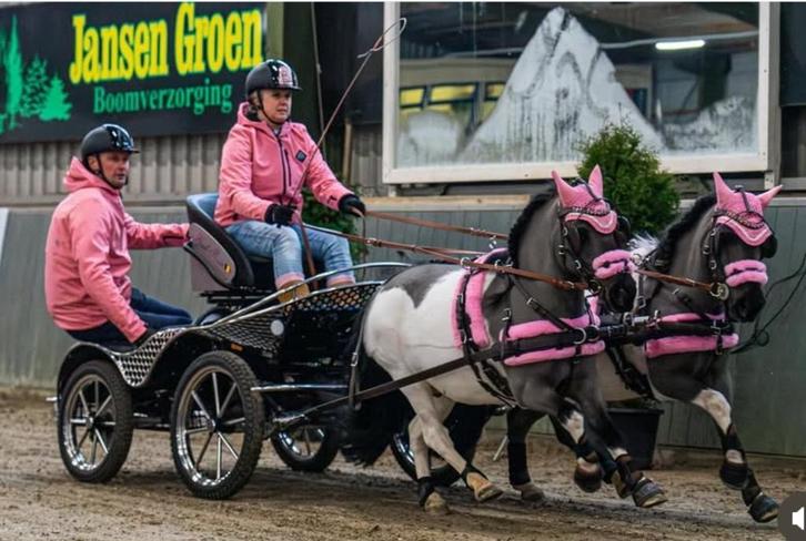 Ruitertje voor getalenteerde pony’s., Dieren en Toebehoren, Pony's, L
