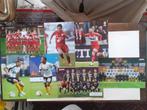 voetbalposters van S.C.Lokeren, Ophalen of Verzenden, Zo goed als nieuw, Poster, Plaatje of Sticker