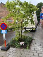 verkeersborden te huur / verboden te parkeren / parkeerborde, Hobby en Vrije tijd, Feestartikelen | Verhuur, Ophalen of Verzenden