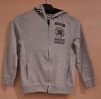 ☆ Trui ( maat 134), Kinderen en Baby's, Kinderkleding | Maat 134, Ophalen of Verzenden, Zo goed als nieuw, Jongen, Trui of Vest