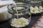 Melk Kefir champagne MelkKefir verse Kefir probiotica, Ophalen