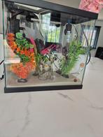Aquarium 18l, Dieren en Toebehoren, Ophalen, Zo goed als nieuw
