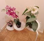 Set van 3 kunstplanten, Huis en Inrichting, Woonaccessoires | Kunstplanten en Kunstbloemen, Ophalen, Nieuw, Binnen