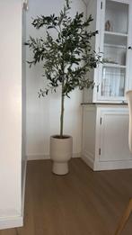 Bloempot japandi stijl, Tuin en Terras, Ophalen