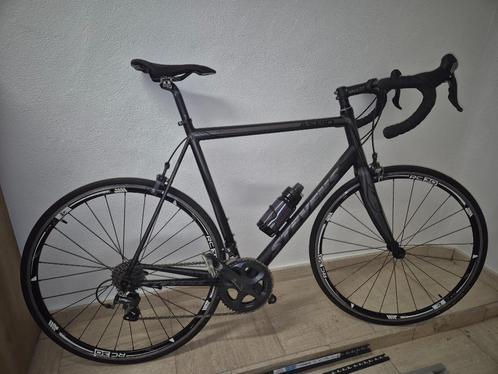 degelijke koersfiets, Fietsen en Brommers, Fietsen | Heren | Sportfietsen en Toerfietsen, Zo goed als nieuw, Overige merken, 10 tot 15 versnellingen