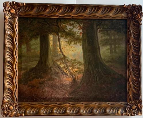 René Stevens (1858-1937) - Vue de la forêt, Antiquités & Art, Art | Peinture | Classique, Enlèvement ou Envoi