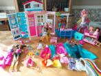 Lot Barbie, Kinderen en Baby's, Speelgoed | Poppen, Ophalen, Gebruikt, Barbie