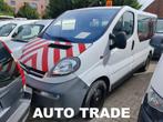 Opel Vivaro Lichte Vracht | 1ste Eig. | Ex overheid | Trekha, Autos, Achat, 2 places, Tissu, 4 cylindres