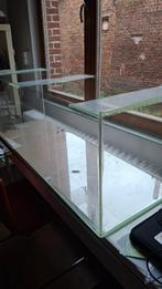 Grote glazen bak voor hamster, terrarium, planten,..., Niche, Moins de 60 cm, Enlèvement, Utilisé