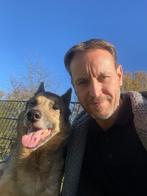 Tijdelijke woonst gezocht (Antwerpen en omstreken)