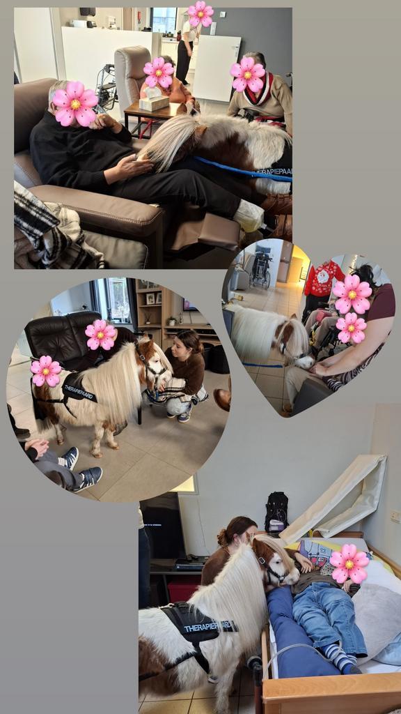 GEZOCHT miniatuurpaartje, Tickets en Kaartjes, Kortingen en Cadeaubonnen