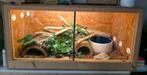 Terrarium complet osb 90x45x45 avec PR, Ophalen, Zo goed als nieuw, Verlichting