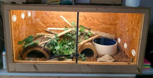 Terrarium complet osb 90x45x45 avec PR, Dieren en Toebehoren, Reptielen en Amfibieën | Toebehoren, Zo goed als nieuw, Verlichting
