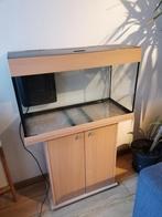 Aquarium 80x36x52 (150 L) met kast, Dieren en Toebehoren, Ophalen, Zo goed als nieuw, Leeg aquarium