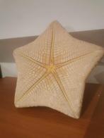 Grote zeester, Verzamelen, Ophalen of Verzenden, Overige typen