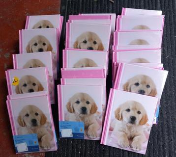 Labrador pup vriendenboek lot (int frans) beschikbaar voor biedingen