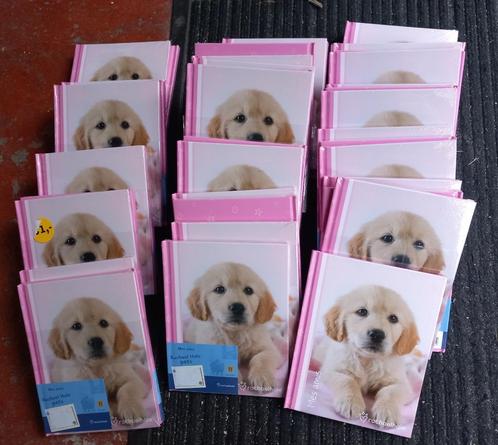 Labrador pup vriendenboek lot (int frans), Boeken, Kinderboeken | Kleuters, Zo goed als nieuw, Non-fictie, Jongen of Meisje, Ophalen