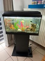 Aquarium juwel, Dieren en Toebehoren, Ophalen, Gebruikt, Leeg aquarium