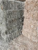 Hooi en stro  stofarm  eiwitarm voor paarden geiten enz, Enlèvement