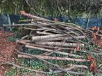Gratis brandhout, Tuin en Terras, Brandhout, Minder dan 3 m³, Ophalen, Overige houtsoorten, Stammen