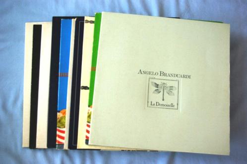 Angelo Branduardi Beau lot 10 albums 33 T originaux, Cd's en Dvd's, Vinyl | Pop, Zo goed als nieuw, 12 inch, Ophalen of Verzenden