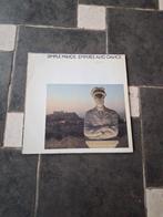 Simple minds, Enlèvement