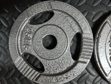 Halterschijven 2.5 kg boring 30 mm beschikbaar voor biedingen
