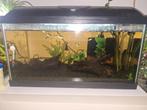 Aquarium 60L, Dieren en Toebehoren, Reptielen en Amfibieën | Toebehoren, Ophalen, Zo goed als nieuw