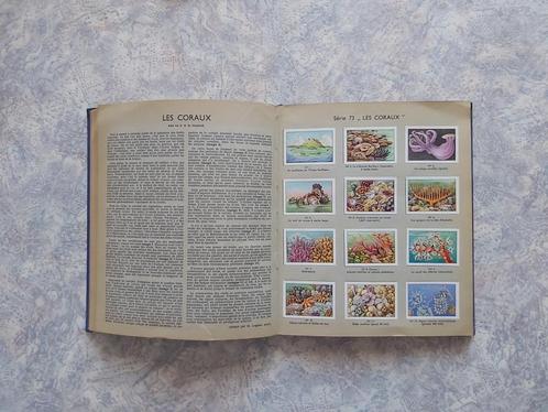 Prentenboek Album Koffie Wereldwonder Merveilles Terre REX, Livres, Livres d'images & Albums d'images, Utilisé, Livre d'images