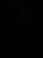 OPZOEK NAAR POKÉMON KAARTEN VAN GENGAR, Verzamelen, Ophalen of Verzenden, Nieuw