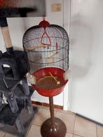 Vogelkooi kanaries zebravinken goede staat 10 €, Dieren en Toebehoren, Vogels | Kanaries