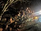Stamhout Den, 6 m³ ou plus, Enlèvement, Autres essences de bois, Troncs d'arbres