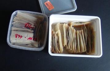 Doosjes postzegels Nederland; 395 gram (Nr 7 tot 1180) beschikbaar voor biedingen