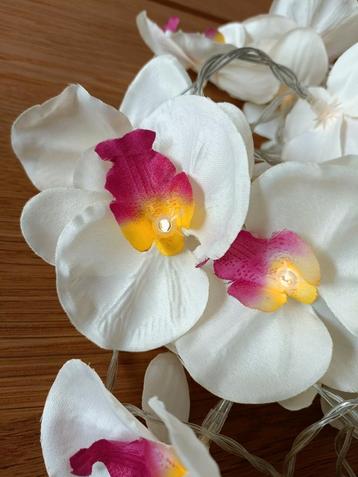 Guirlande lumineuse orchidées  beschikbaar voor biedingen