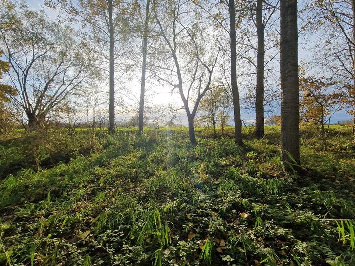 Perceel weideland en perceel bos, Immo, Terrains & Terrains à bâtir, 1500 m² ou plus, Ventes sans courtier