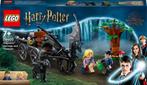 Lego Harry Potter 76400 Rijtuig en Thestralissen, Kinderen en Baby's, Speelgoed | Duplo en Lego, Ophalen of Verzenden, Nieuw, Complete set