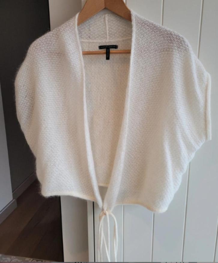 Sarah Pacini, Kleding | Dames, Truien en Vesten, Nieuw, Ophalen of Verzenden