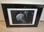 Kunstwerk voor niche markt Jelly fish, Ophalen of Verzenden