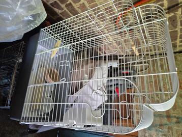 Cage pour oiseaux  beschikbaar voor biedingen