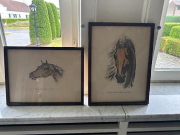 Kaders Paardenhoofden Vernet  beschikbaar voor biedingen