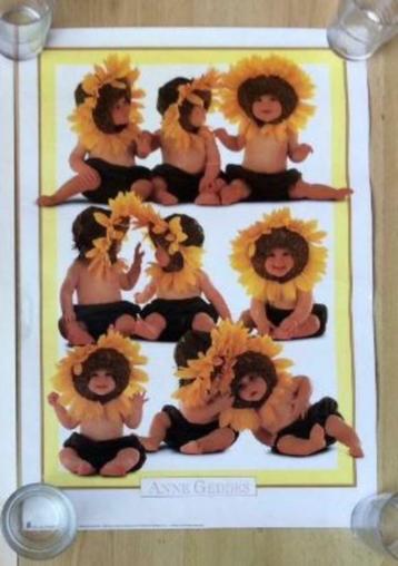 4 leuke grappige posters - Tweety, Anne Geddes, ... beschikbaar voor biedingen