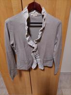 Feestelijke cardigan met bijhorende linnen rok, Taille 42/44 (L), Josephine & Co, Gris, Enlèvement ou Envoi