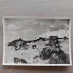 Postkaart : Kalmthoutse heide, Ophalen of Verzenden
