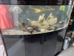 Aquarium 150 cm breedte met ledverlichting, Dieren en Toebehoren, Ophalen, Zo goed als nieuw