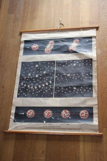 Vintage poster , schoolkaart Atoomkernsplitsing, Antiek en Kunst, Antiek | Schoolplaten, Ophalen of Verzenden, Natuur en Biologie