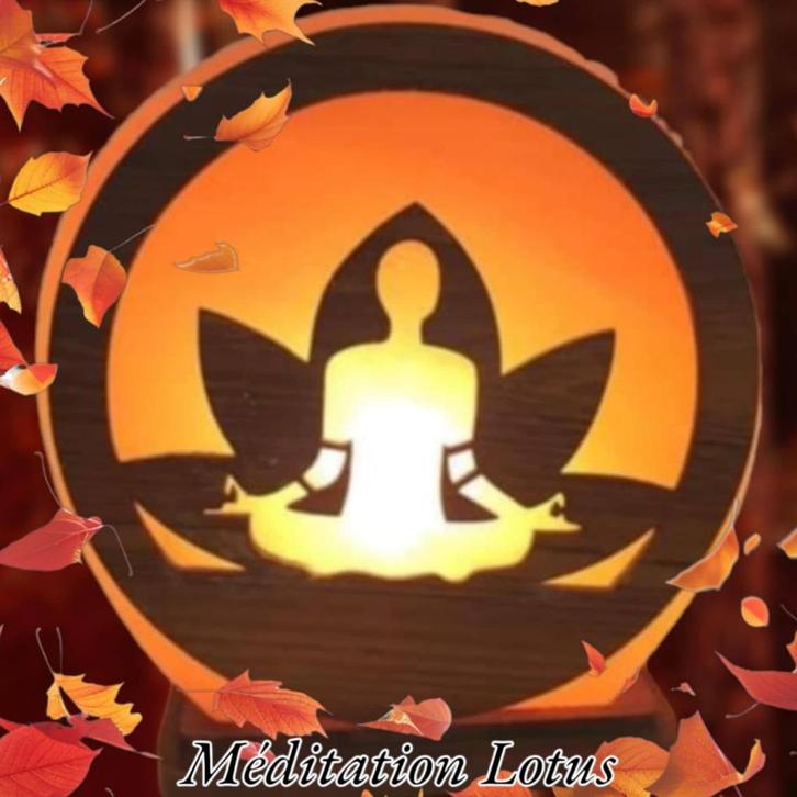 Lampe de sel Méditation Lotus 5kg 20cm de diamètre, Huis en Inrichting, Lampen | Overige, Nieuw, Ophalen of Verzenden